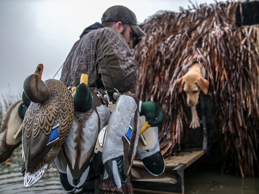 Public Land Decoy Strategies for Your Waterfowl Opener